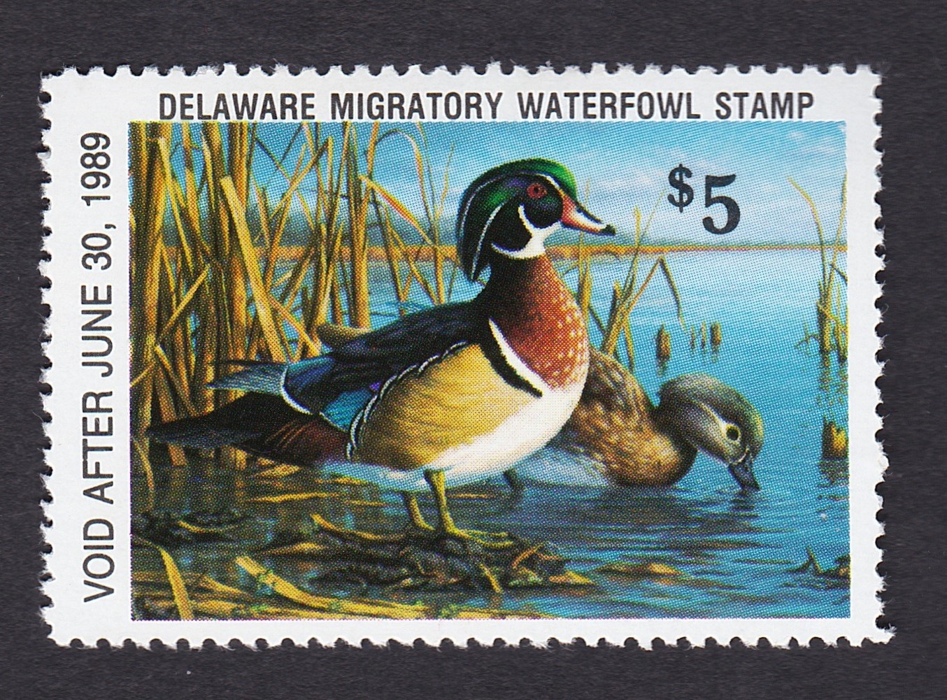 DE waterfowl W9 $5 MNH VF, 1988 P