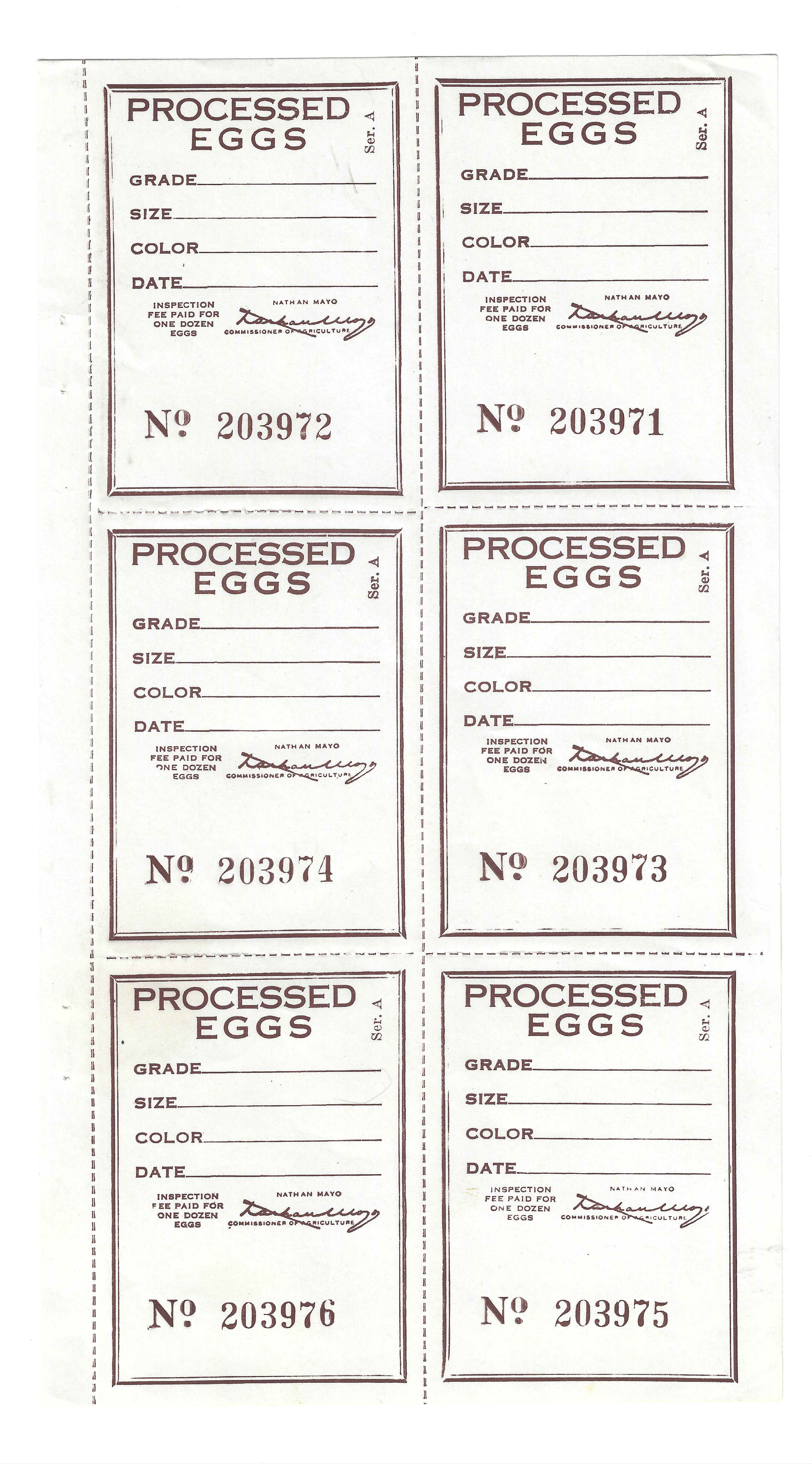 FL eggs, carton E23 Processed Eggs Ser. A brown pane/6 MNH VF