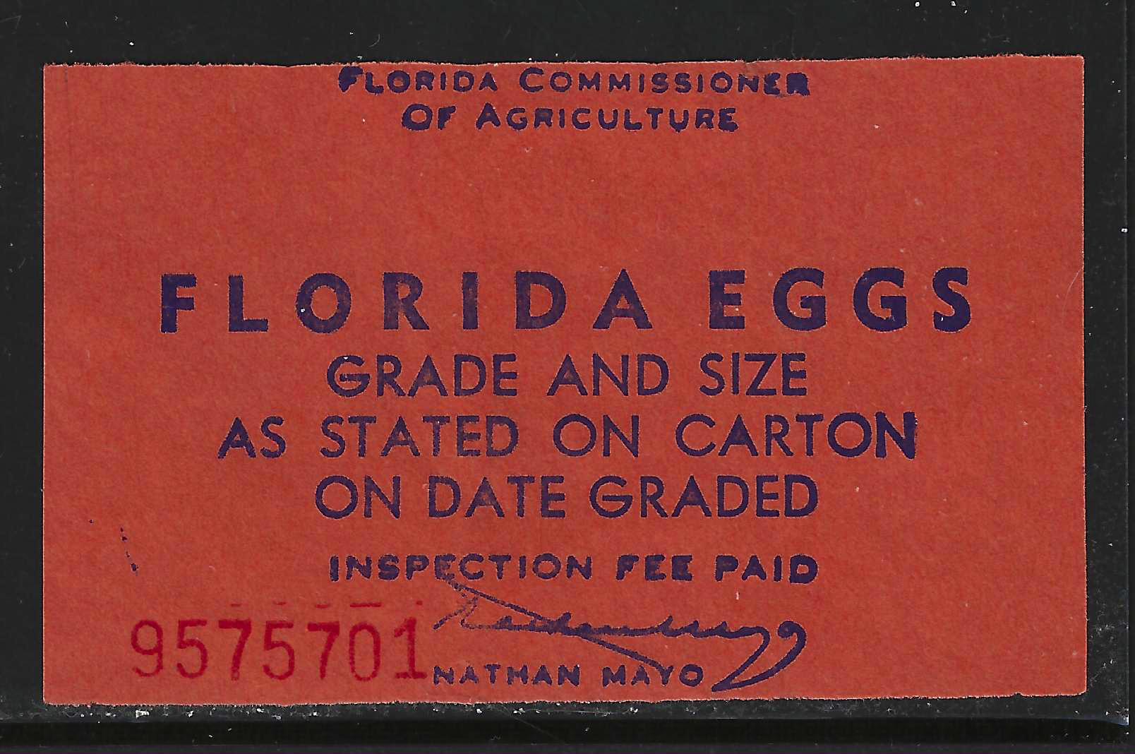 FL eggs, carton E48 Florida Eggs blue on orange U VF