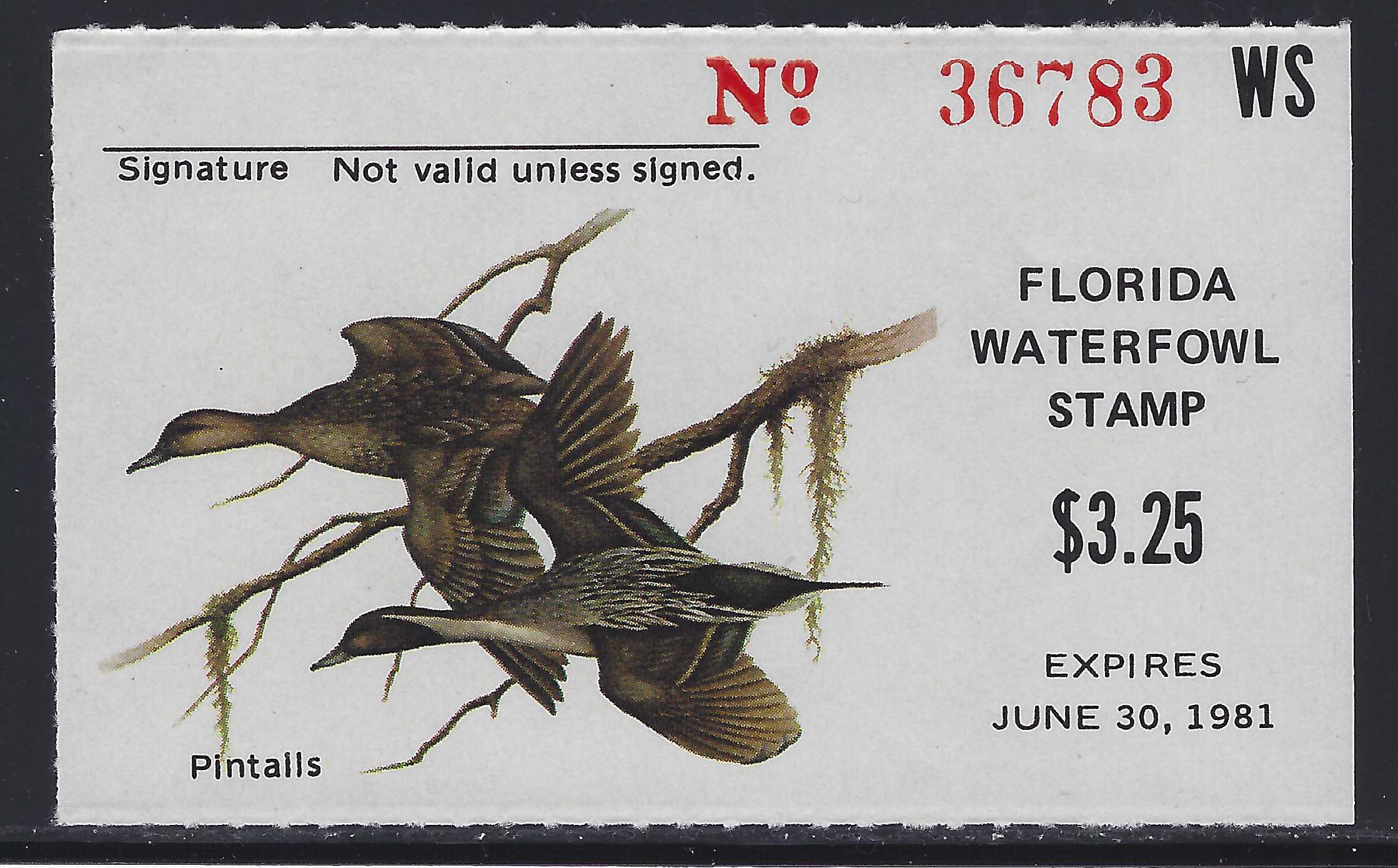 FL waterfowl hunting Cotton W2 1980-81 3.25 MNH VF