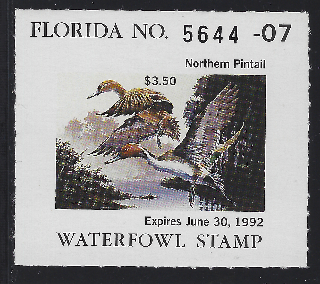 FL waterfowl hunting Cotton W13 1991-92 3.50 MNH VF