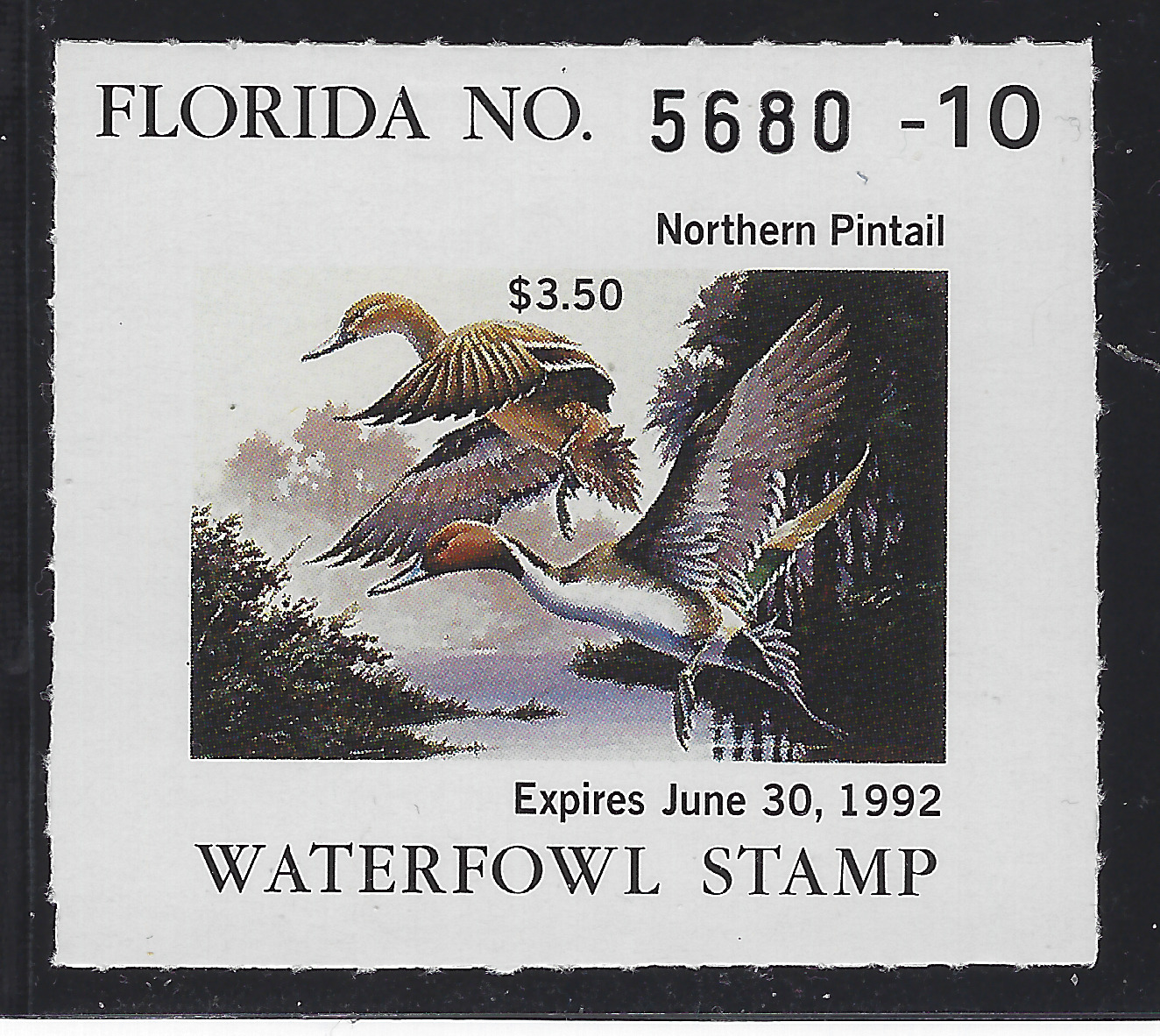 FL waterfowl hunting Cotton W13 1991-92 3.50 MNH VF