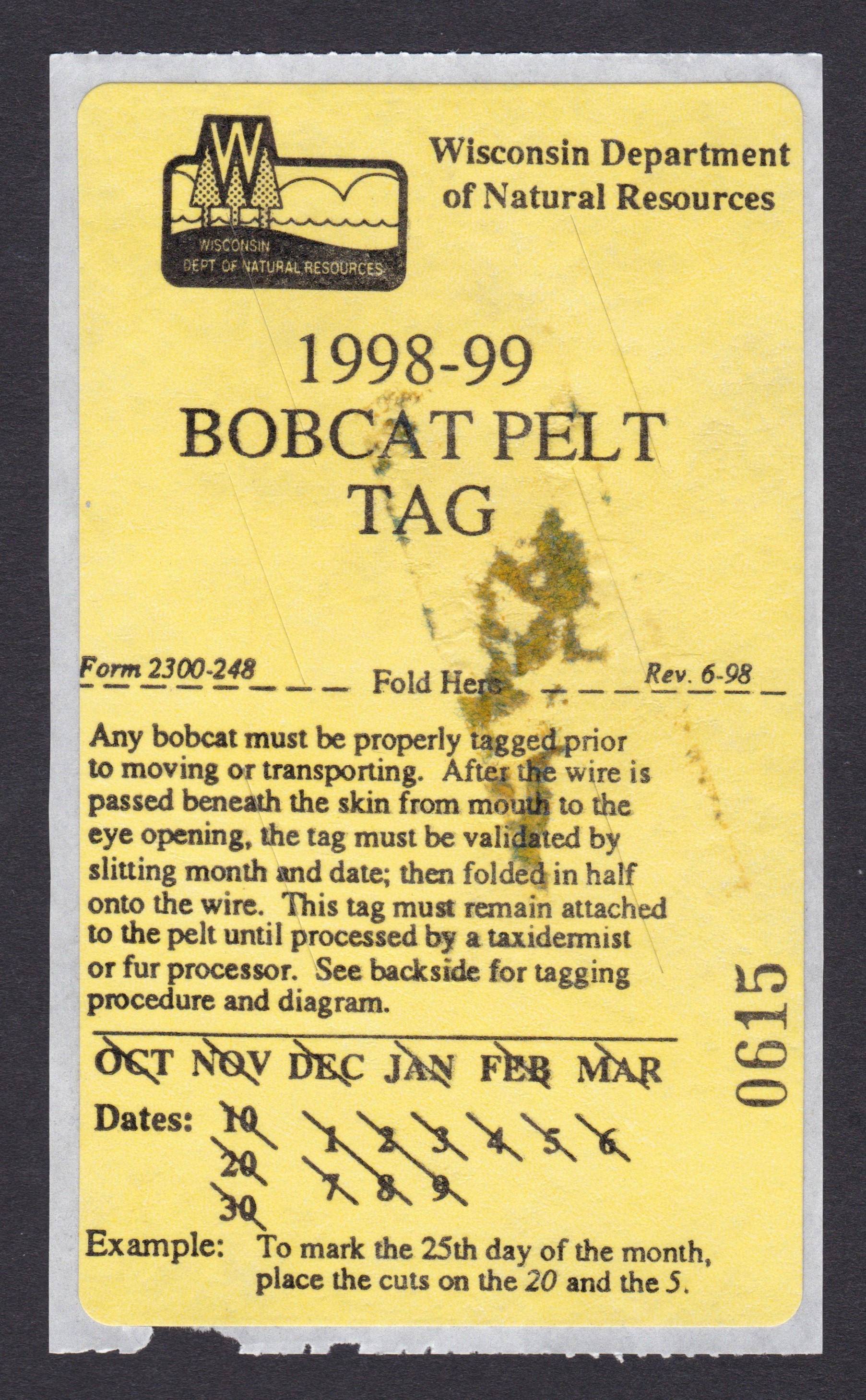 WI trapping, bobcat TPB4 MNG VF, 1998, spots on face