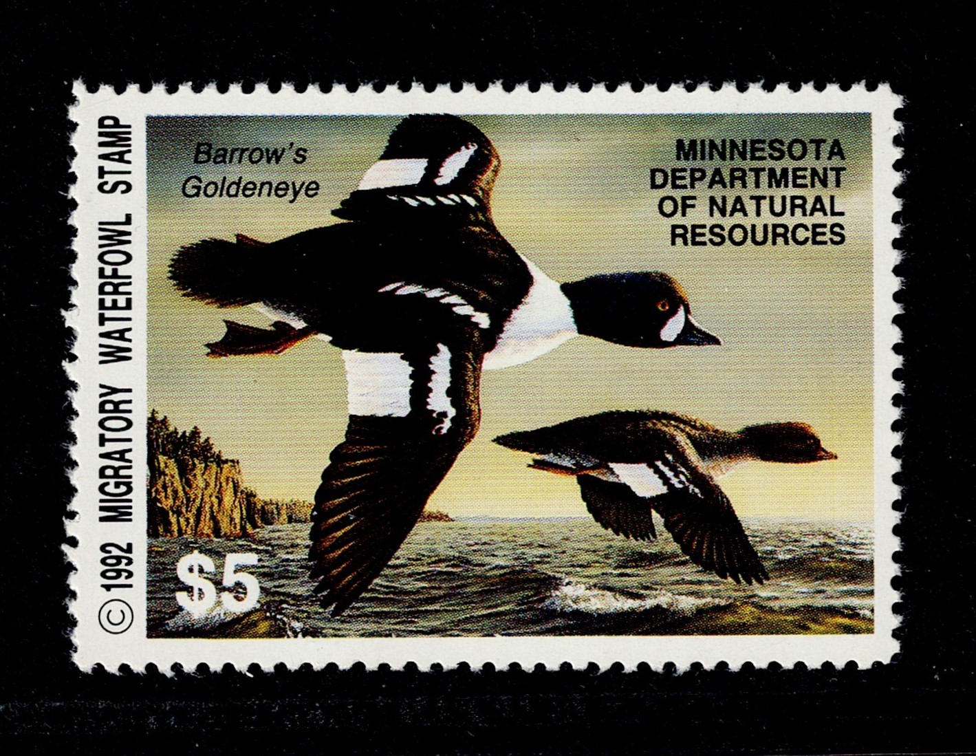MN waterfowl W16 $5 MNH VF, 1992
