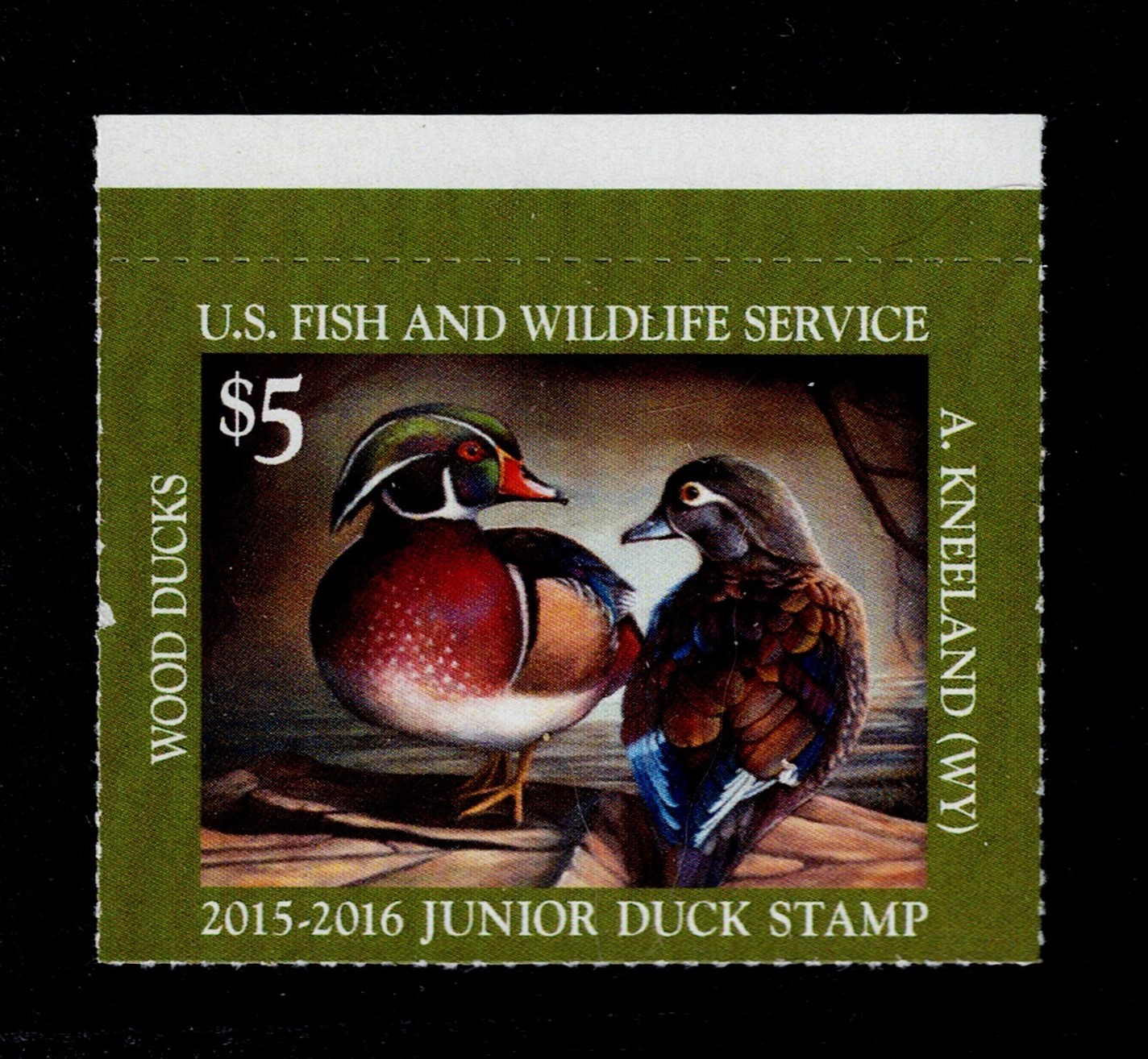Junior duck JDS23 $5 MNH VF
